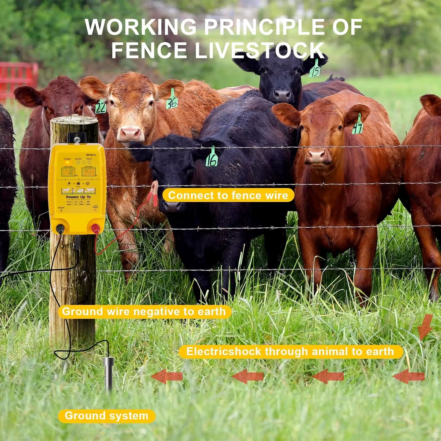 Electric Fence Charger AC Powered – P8 1.5-3 Joules 12KM for Cattle Sheep Horse Pig