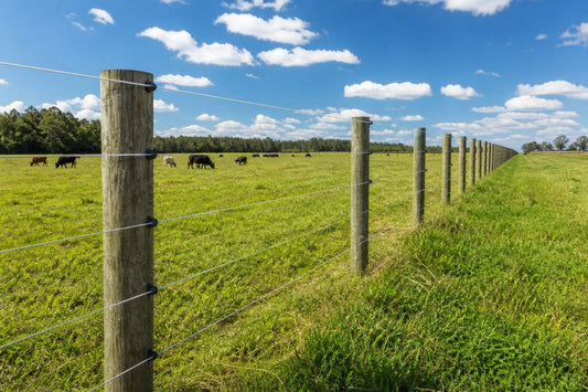 High-tensile electric fence wires on wooden posts in a pasture