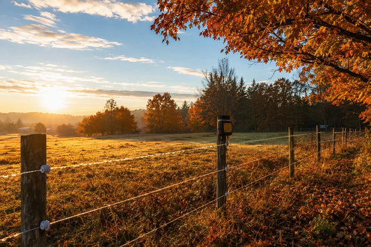 Fall Electric Fence Maintenance Checklist: 8 Checks Before Winter