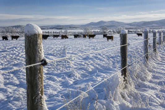 How to Winterize Your Electric Fence: 8-Step Pre-Winter Checklist