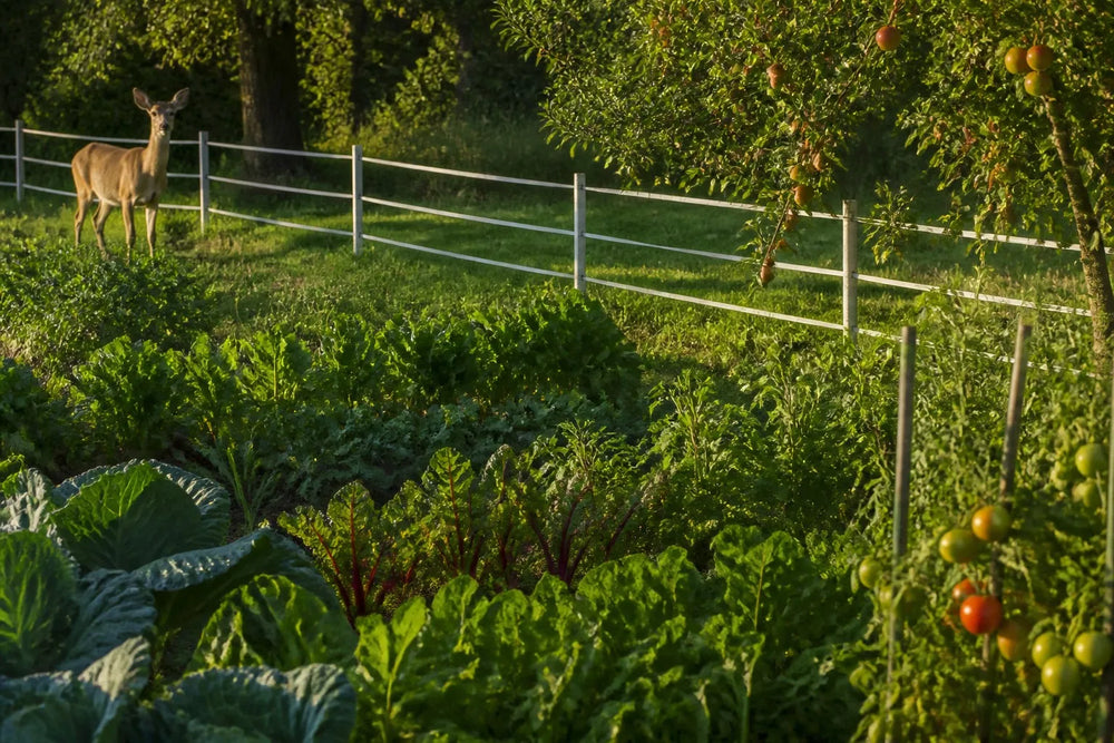 Deer Proof Electric Fence for Garden - LIFEALL