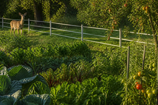 Deer Proof Electric Fence for Garden - LIFEALL