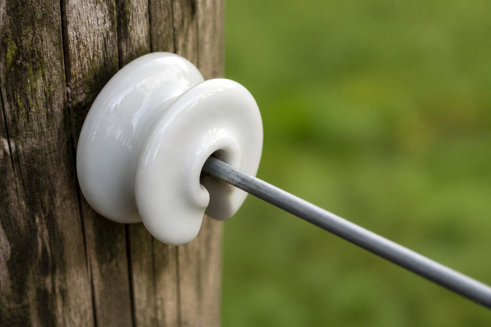 White porcelain electric fence insulator mounted on a wooden post