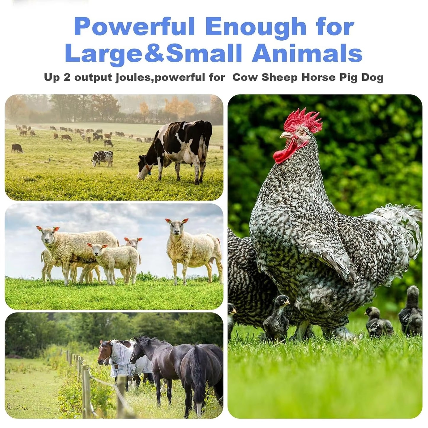 Electric Fence Charger 12V Battery Powered – 2 Joules 6 Miles 40 Acres Cattle Horse Pig