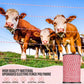 Electric Fence Polywire 2mm – 200m / 500m High-Visibility Red & White | Cattle Horse Sheep