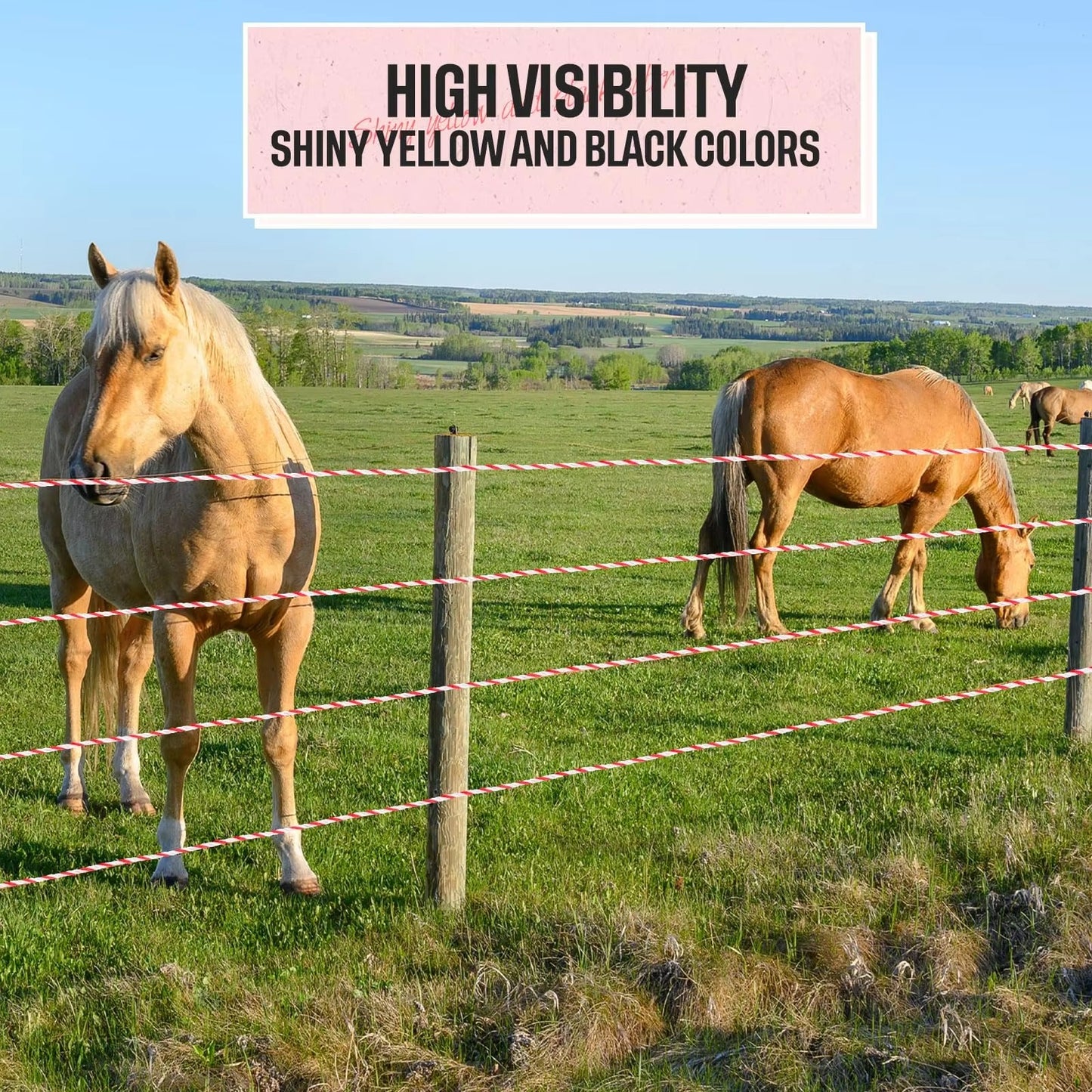 Electric Fence Polywire 2mm – 200m / 500m High-Visibility Red & White | Cattle Horse Sheep