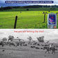 10km Electric Fence Energizer, with Battery Power Clip Connector Farm Cattle Sheep Poultry Captive Security Fence